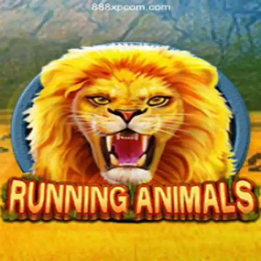 RunningAnimals: A Thrilling Adventure in the Virtual Jungle